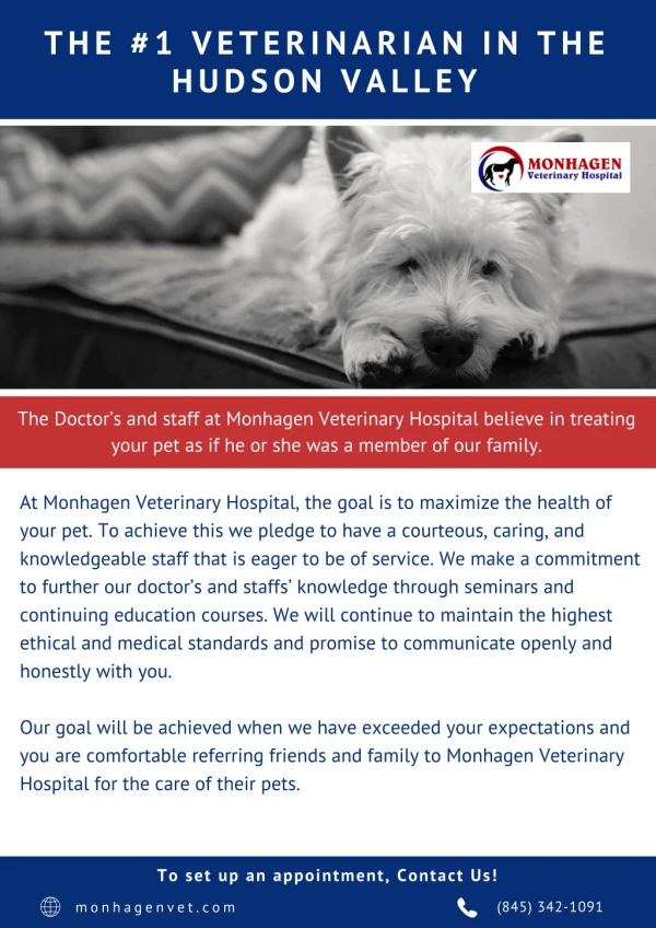Trusted Veterinarian In Middletown