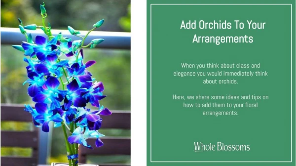 Get the Most Classy Orchid Flower for Your Wedding Theme