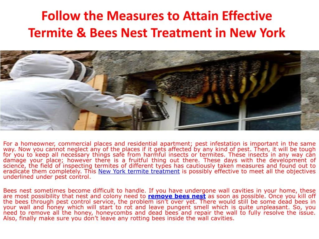 follow the measures to attain effective termite bees nest treatment in new york