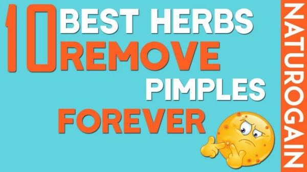 10 Best Herbs to Remove Pimples and Blackheads Forever