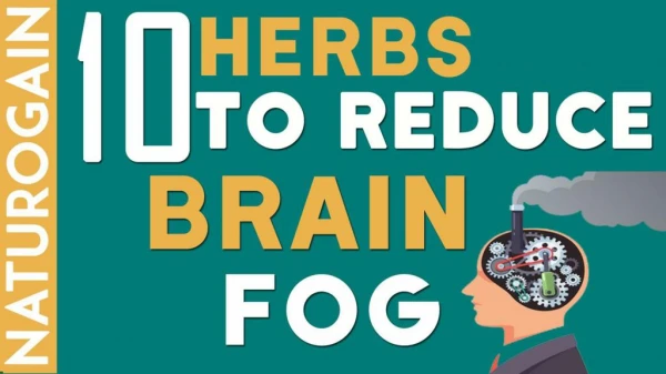 10 Best Herbs to Reduce Brain Fog, Improve Clarity Naturally