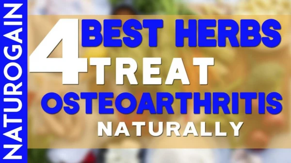4 Best Herbs to Treat Osteoarthritis, Degenerative Joint Disease Naturally