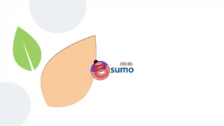 Buy Instagram Custom Comments | SMMSUMO - slide 1
