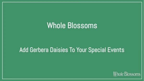 Get the Best Addition of Gerbera Daisy Flower to Your Special Events