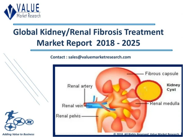 Kidney/Renal Fibrosis Treatment Market - Industry Research Report 2018-2025, Globally