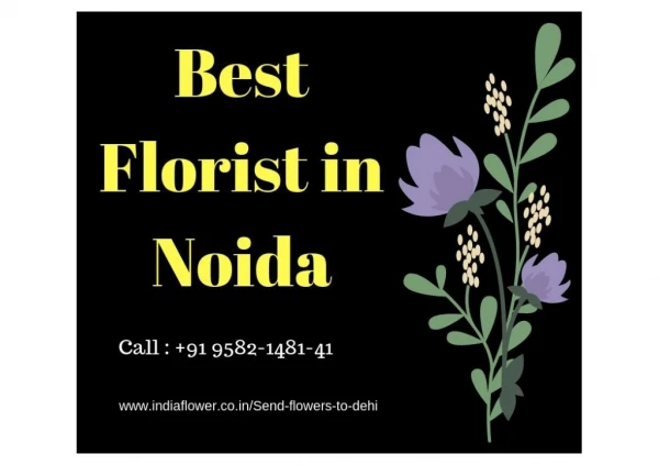 Best Florist In Noida | 9582-1481-41