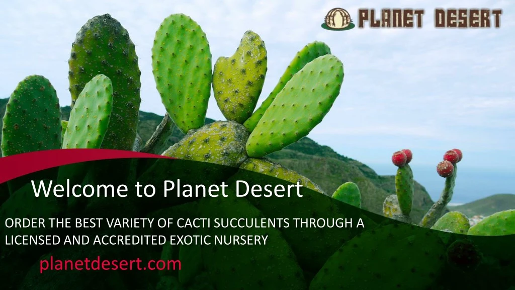 welcome to planet desert