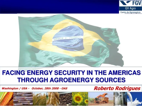 FACING ENERGY SECURITY IN THE AMERICAS THROUGH AGROENERGY SOURCES