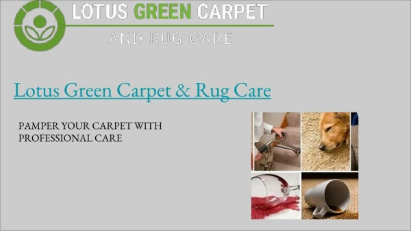 Rug Cleaning Washington DC | Lotus Green Carpet & Rug Care