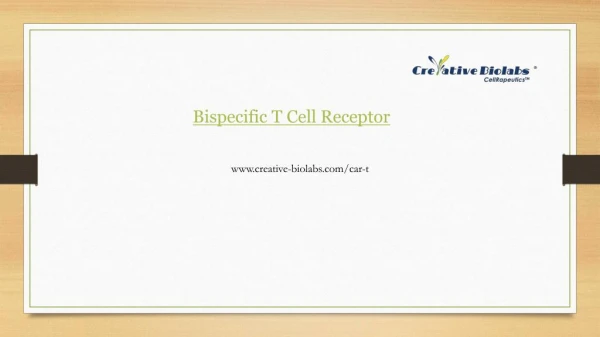 Bispecific t cell receptor