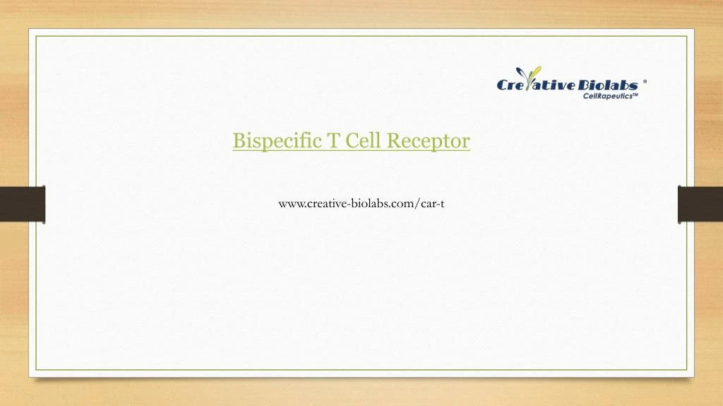 bispecific t cell receptor