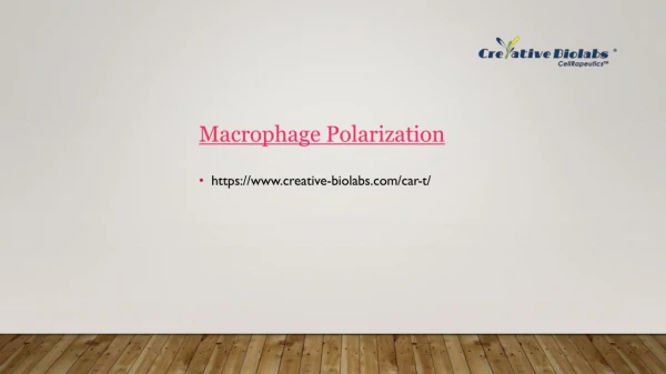 Macrophage Polarization