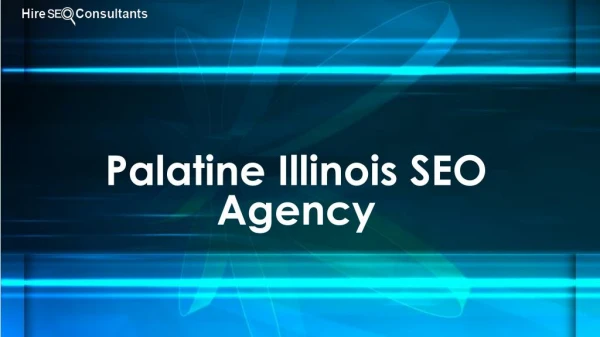 Palatine Ill SEO Agency