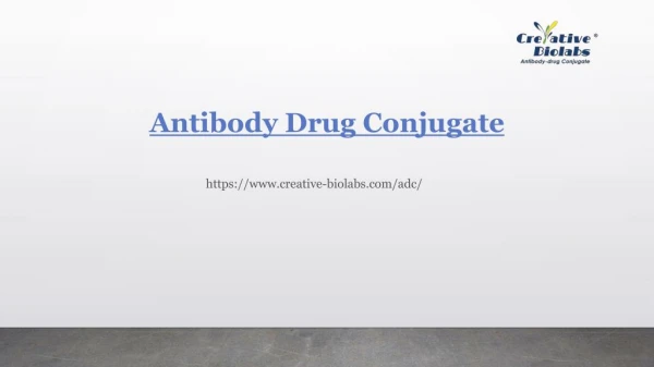 antibody drug conjugate