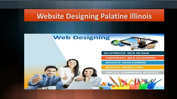 Website Designing Palatine Illinois