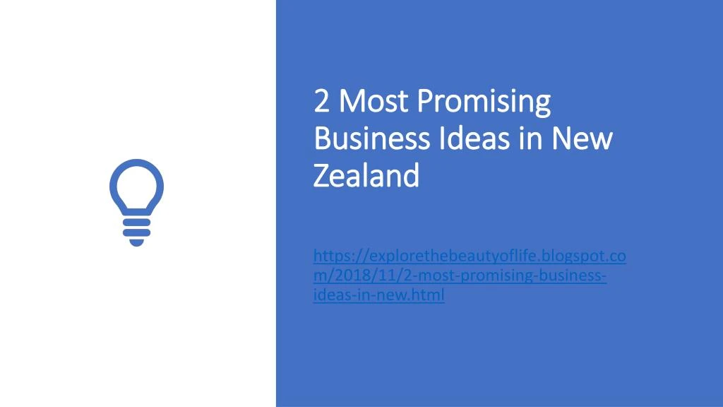 2 most promising business ideas in new zealand