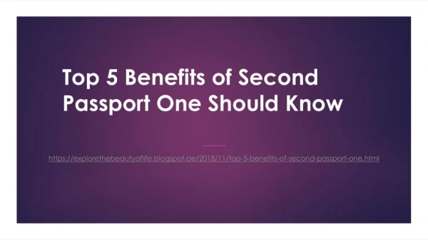 Top 5 Benefits of Second Passport One Should Know