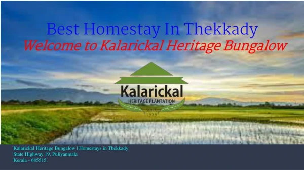 Best homestay in thekkady