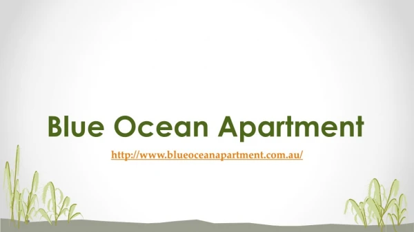 Holiday Apartments Queensland