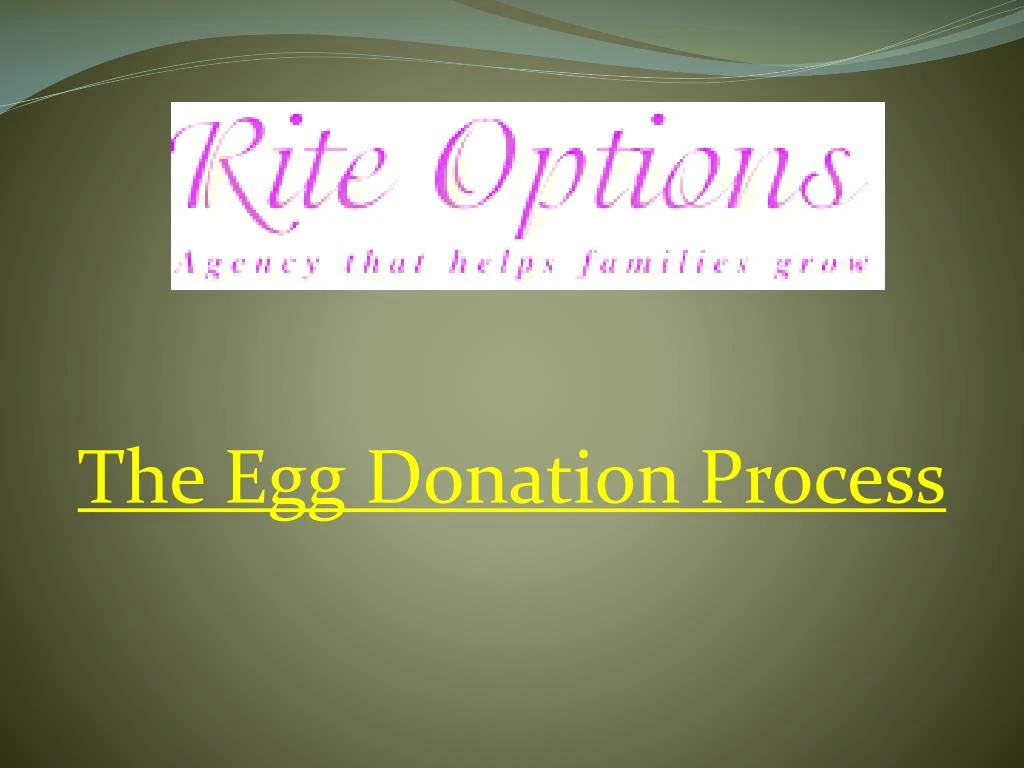 the egg donation process