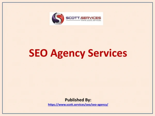 SEO Agency Services