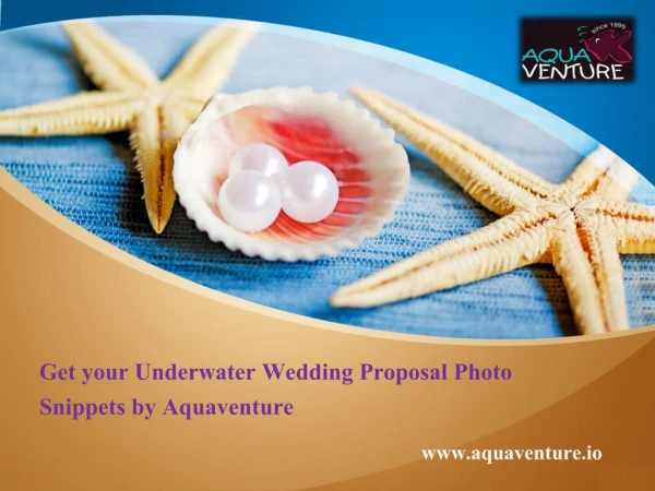 Get your Underwater Wedding Proposal Photo Snippets by Aquaventure