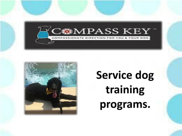 How to train a dog to be a service dog