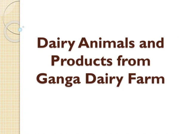 Dairy Animals and Products From Ganga Dairy Farm In India, Bangladesh & UK