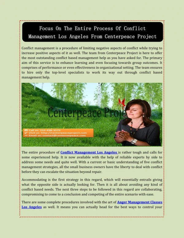 Focus On The Entire Process Of Conflict Management Los Angeles From Centerpeace Project