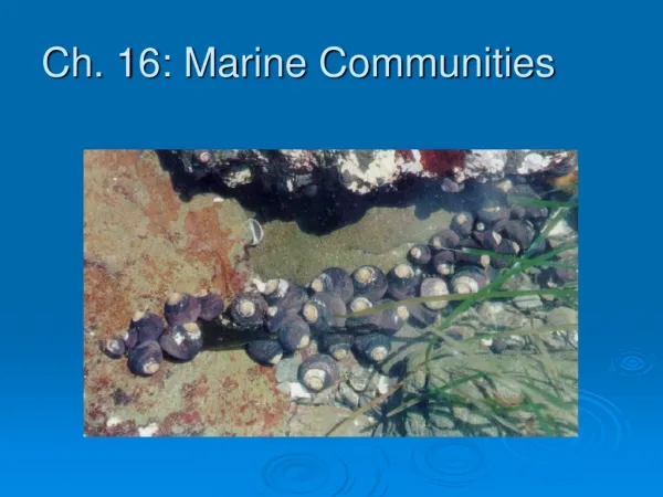 Ch. 16: Marine Communities