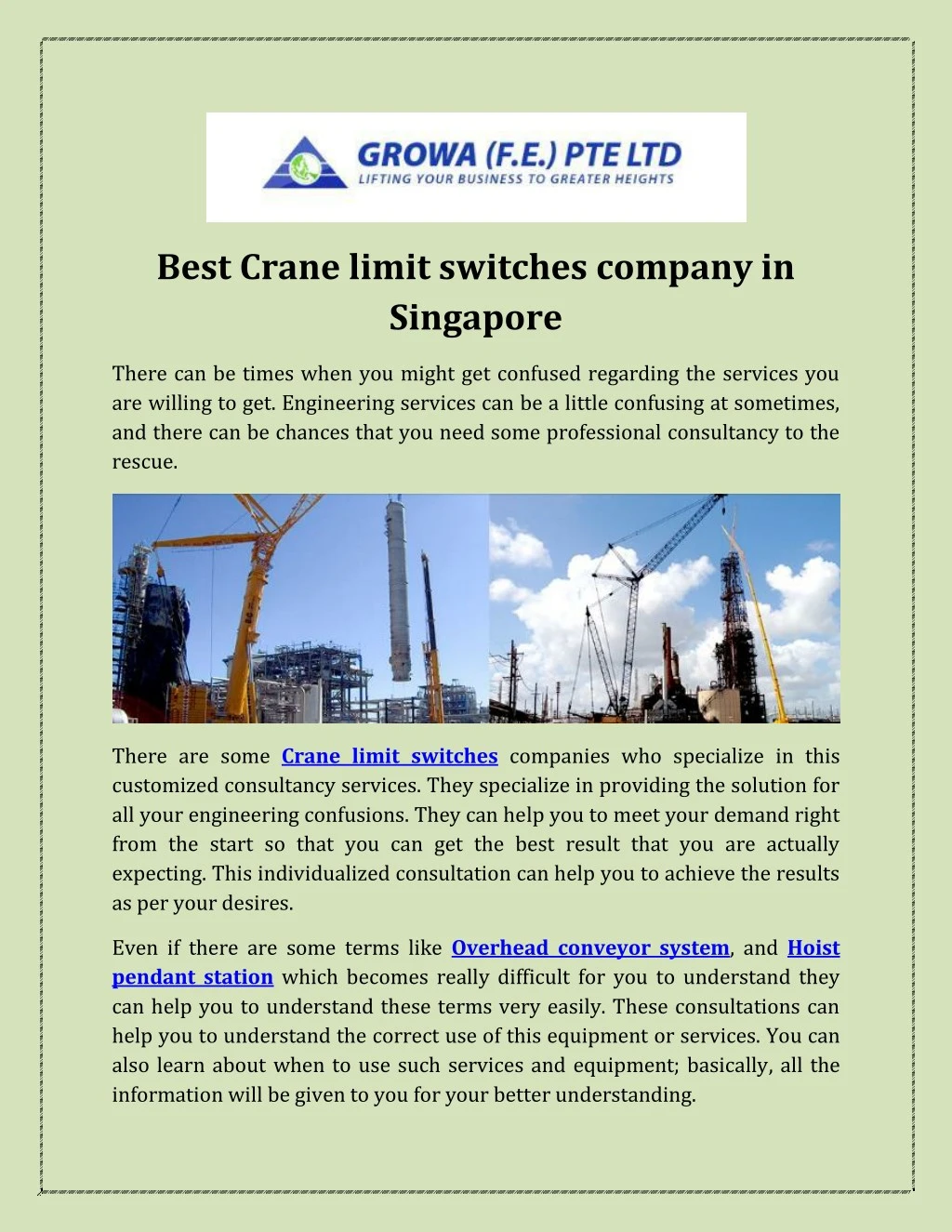 best crane limit switches company in singapore