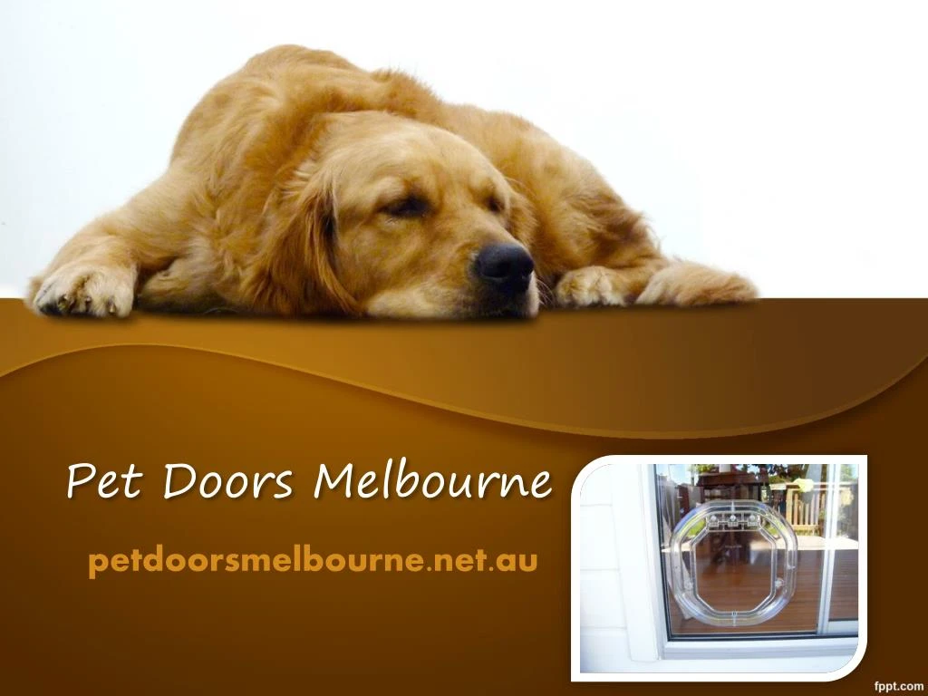pet doors melbourne