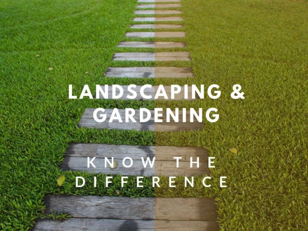 Landscaping & Gardening-Know the difference
