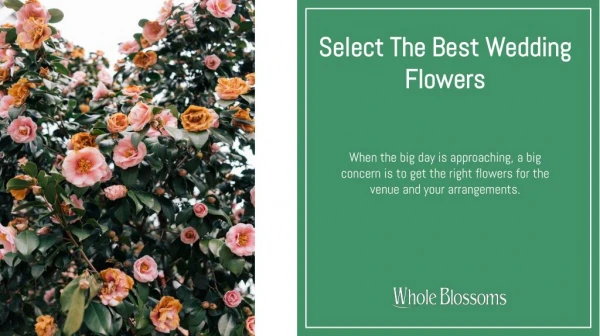 Select Cheap Wedding Flowers for Your Big Day