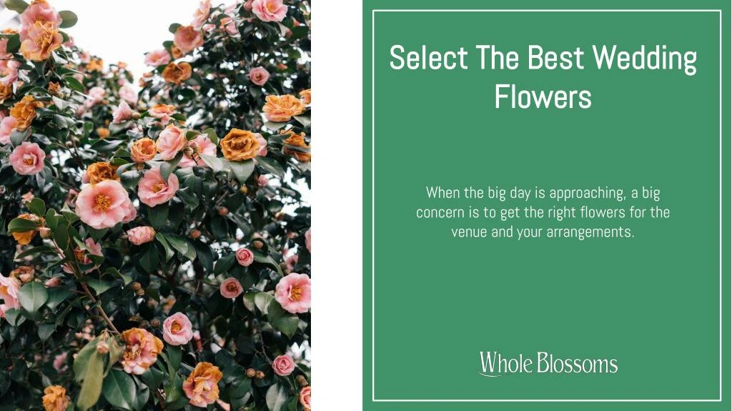 select the best wedding flowers