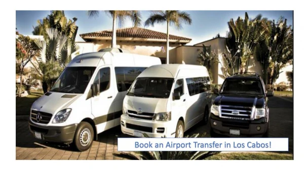 Book an Airport Transfer in Los Cabos!