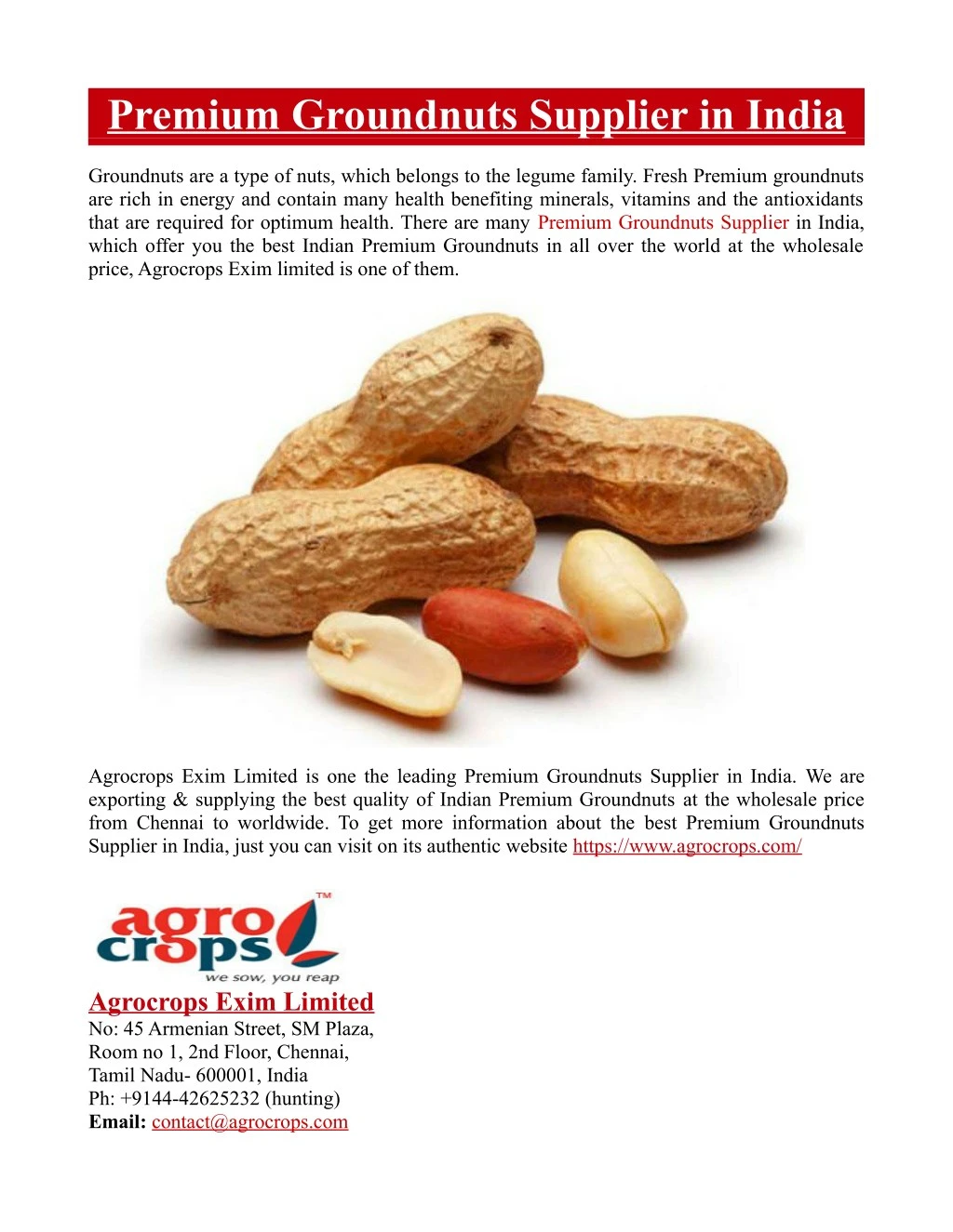 premium groundnuts supplier in india