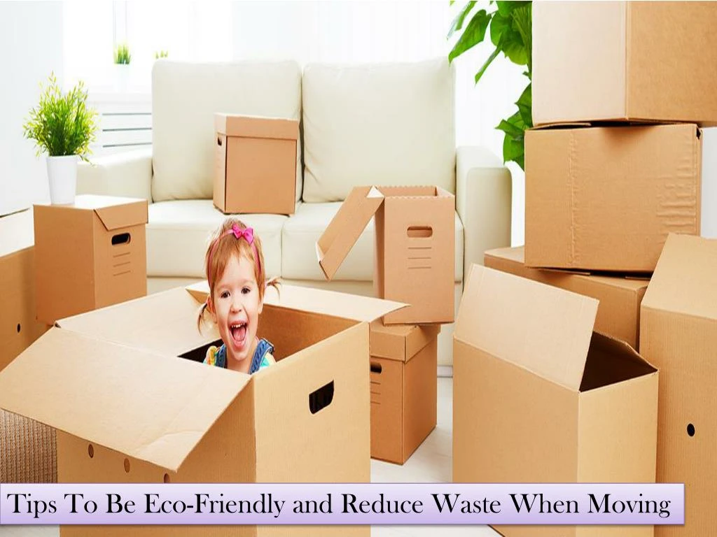 tips to be eco friendly and reduce waste when