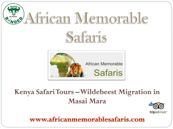 Kenya Safari Tours – Wildebeest Migration in Masai Mara
