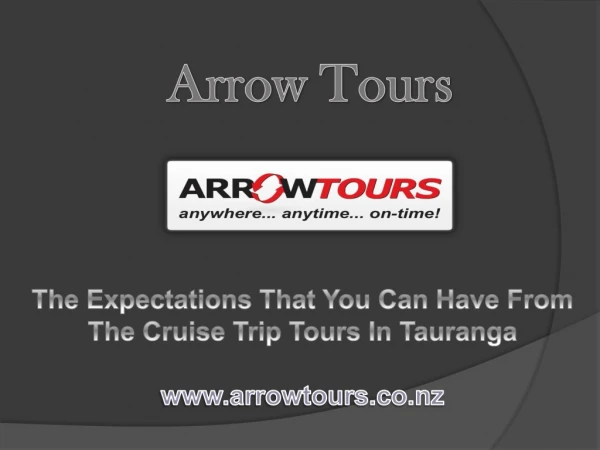 The Expectations That You Can Have From The Cruise Trip Tours In Tauranga