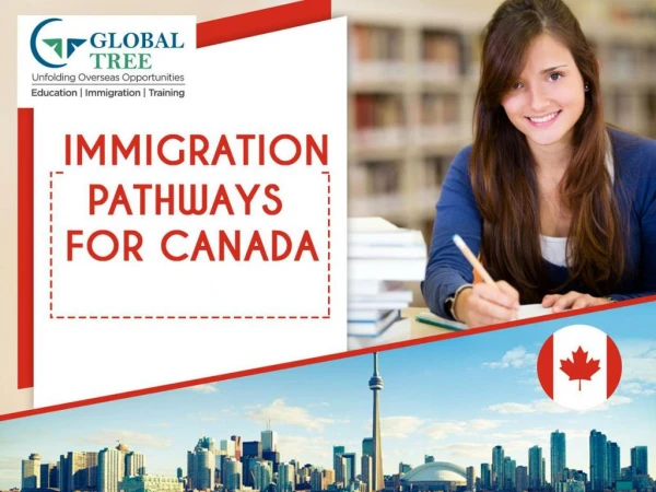 Canada Immigration Pathways - Global Tree, Hyderabad