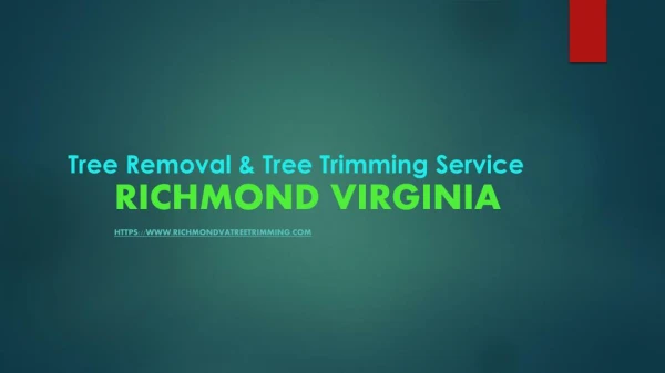 Tree Removal & Tree Trimming Service in Richmond Virginia