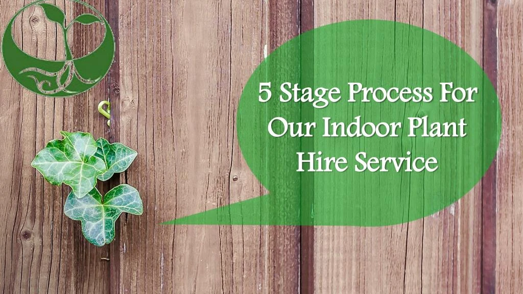 5 stage process for our indoor plant hire service