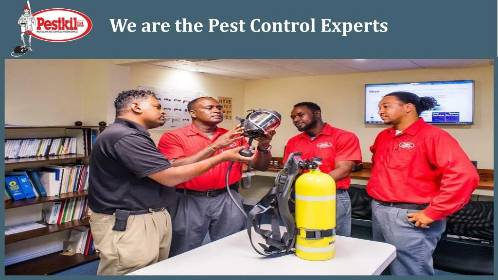we are the pest control experts