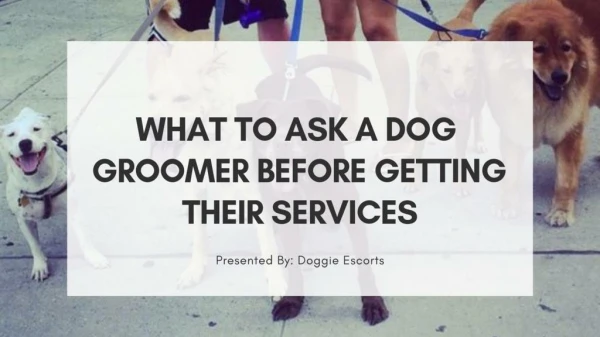 What To Ask A Dog Groomer Before Getting Their Services