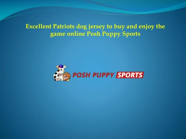 Excellent Patriots dog jersey to buy and enjoy the game online Posh Puppy Sports