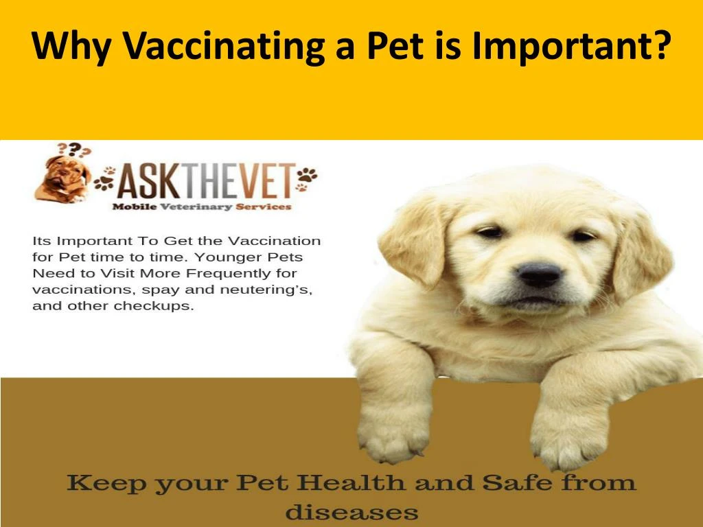 why vaccinating a pet is important