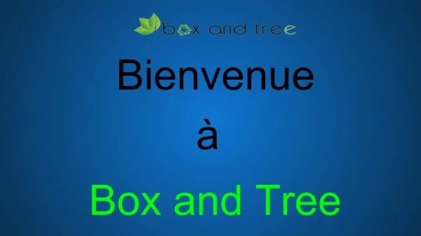 Vaisselle Jetable Biodégradable - Box and Tree