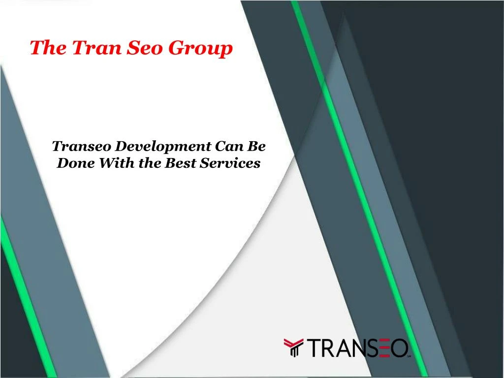 the tran seo group