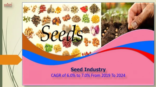 Seed Market Research Report (2019-2024)